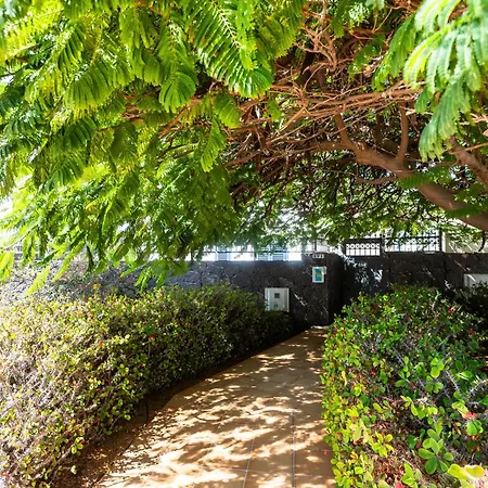 Marina Rubicon Number 4 公寓 普拉亚布兰卡